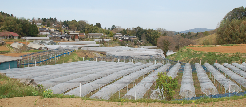 岡山県吉備中央町・古那志屋お問合せ