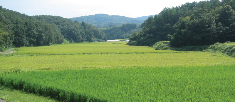 岡山県吉備中央町・古那志屋新着情報